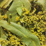 "Heizt Dir ein" Kräuterteemischung