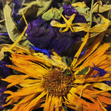 "Glückwunsch" Kräuterteemischung