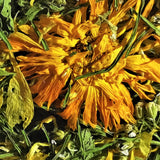 "Ausgleich" Kräuterteemischung